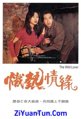 炽热情缘封面图