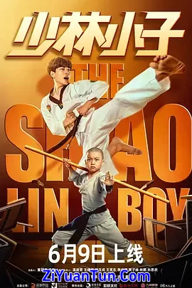 少林小子封面图