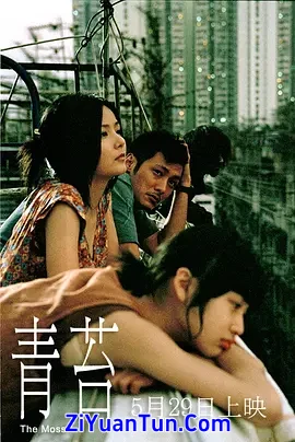 青苔封面图