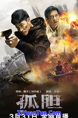 孤胆封面图