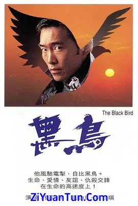 黑鸟封面图