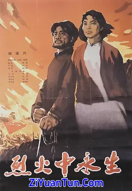 烈火中永生封面图