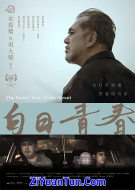 白日青春封面图