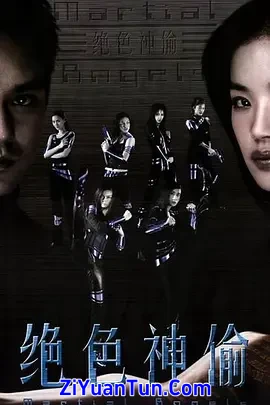 绝色神偷封面图
