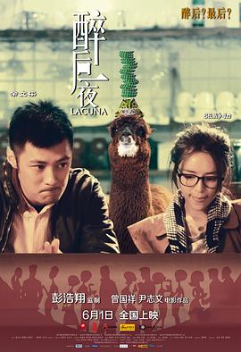 醉后一夜封面图