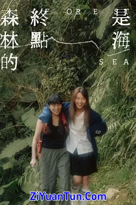 森林的终点是海封面图