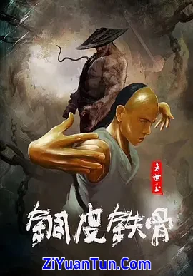 铜皮铁骨方世玉封面图