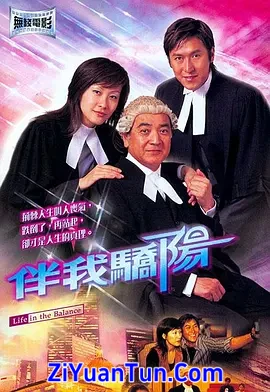 伴我骄阳封面图