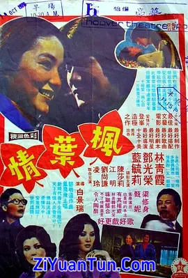 枫叶情封面图
