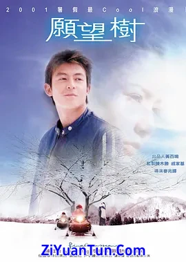 愿望树封面图
