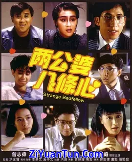 两公婆八条心封面图