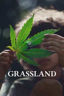 Beneath the Grass封面图