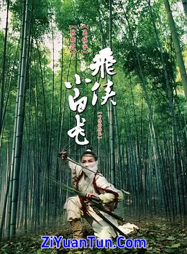 飞侠小白龙封面图