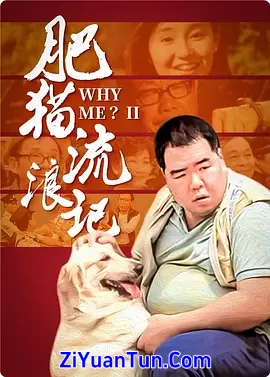 肥猫流浪记封面图