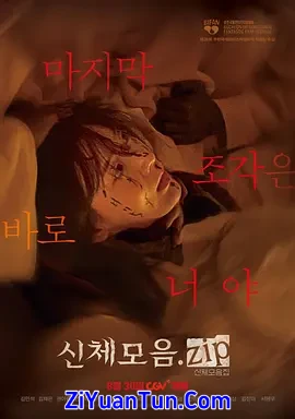 身体集合.zip封面图
