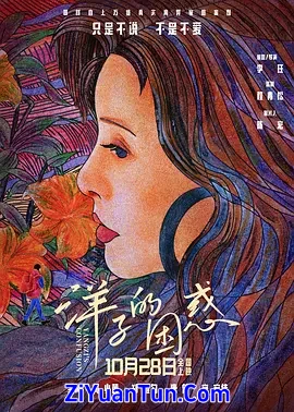 洋子的困惑封面图