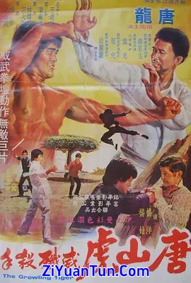唐山虎威歼杀手封面图