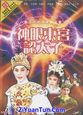 神眼东宫认太子封面图