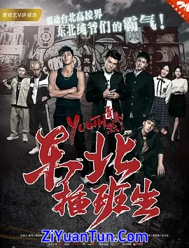 东北插班生封面图