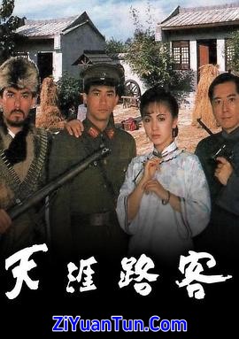 天涯路客封面图