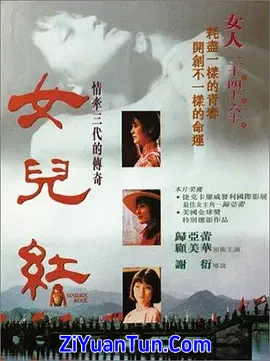 女儿红封面图