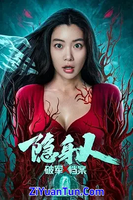 破军X档案隐身人封面图