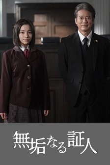 无垢的证人封面图