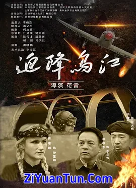 迫降乌江封面图