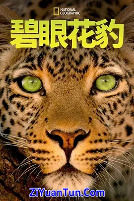 碧眼花豹封面图