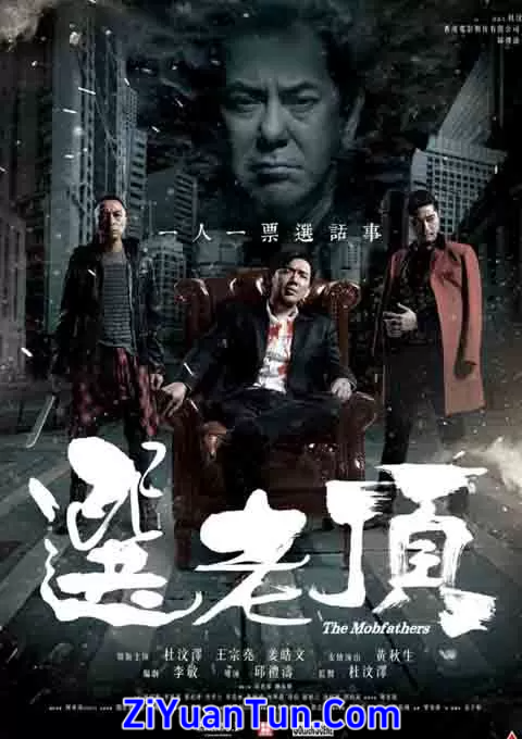 选老顶封面图