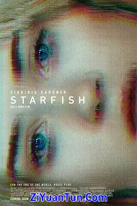 海星封面图