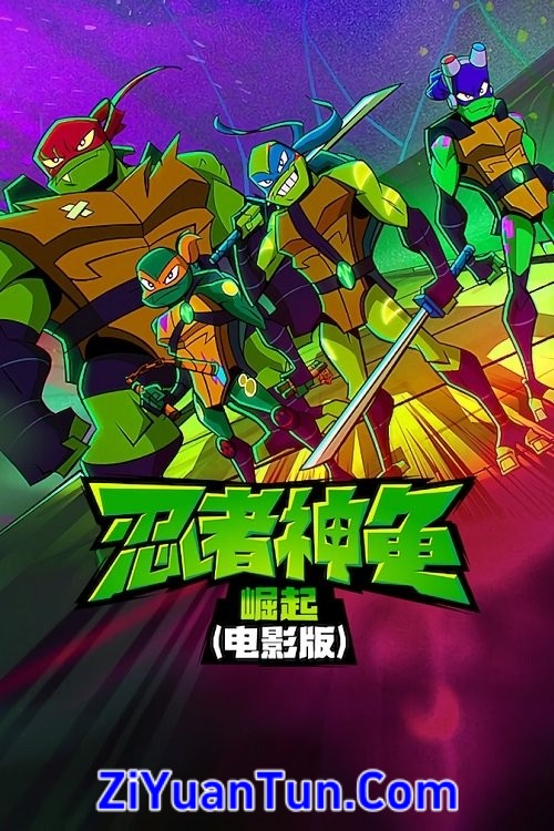 忍者神龟：崛起封面图