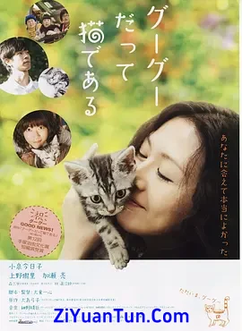 咕咕是一只猫封面图