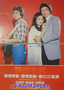 梦的衣裳封面图
