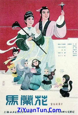 马兰花封面图