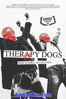 治疗犬封面图