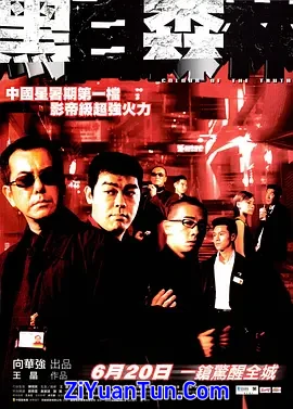 黑白森林封面图