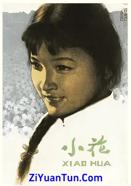 小花封面图