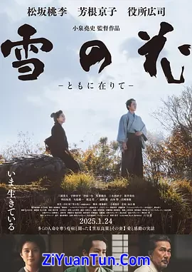 雪之花封面图
