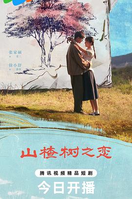 山楂树之恋
