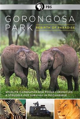 Gorongosa