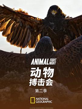 动物搏击会