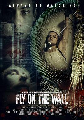 Fly