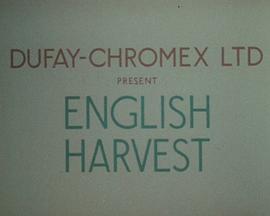 English