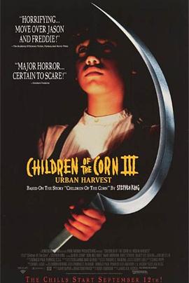 玉米田的小孩3