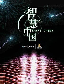 智慧中国