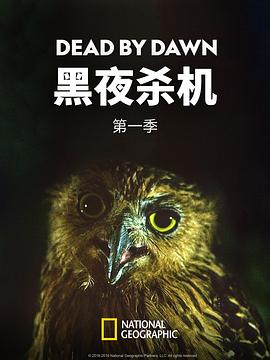 黑夜杀机