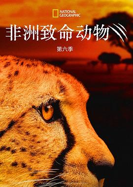 非洲致命动物