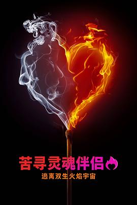 寻找灵魂伴侣：逃离双生火焰宇宙