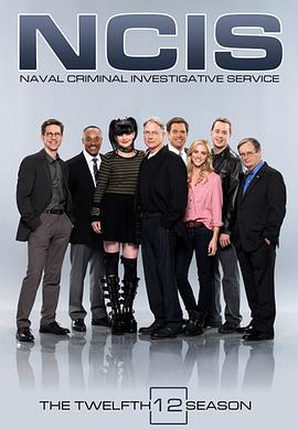 海军罪案调查处